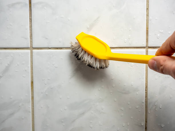 Best Emergency Mold Removal  in Birngham, MI