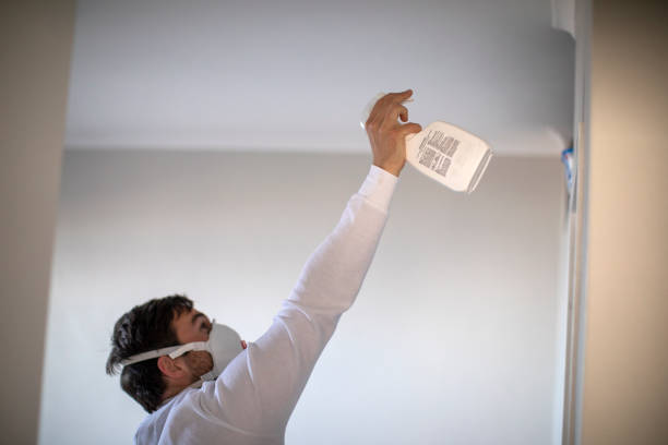 Best Mold Removal Company Near Me  in Birngham, MI