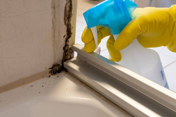Water Damage Restoration in Birmingham, MI