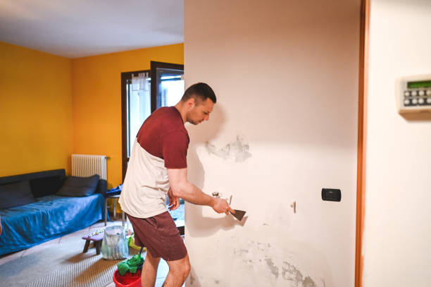 Best Toxic Mold Removal  in Birngham, MI